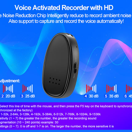 Z21 Recording Pen