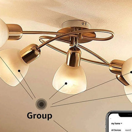 Tuya Smart WIFI Bulb Light BR30 tuya9W Colorful RGBCW Amazon Alexa Google Speaker